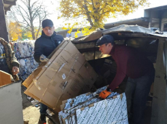 Минприроды ЛНР сдало на переработку 420 кг макулатуры в акции «БумБатл»