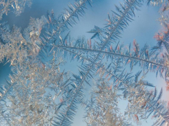 Оттепели не ждать: какая погода будет ЛНР 16 января