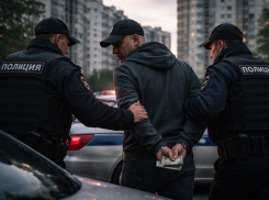 Курьер мошенников получил срок за обман пенсионеров в ЛНР