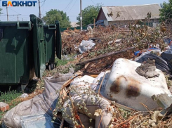 С 1 января в ЛНР начинает работу единый региональный оператор в сфере обращения с ТКО