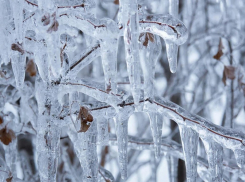 Мокрый снег и ледяной дождь одолеют ЛНР 8 февраля