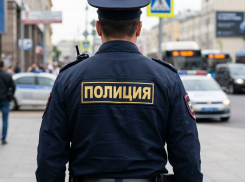 Обманула пенсионера под видом покупки продуктов: как работают мошенники в ЛНР