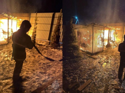 В Луганске ночью полыхал вольер