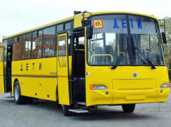 50 новых школьных автобусов появится в ЛНР