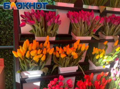 101 тюльпан или оплаченная коммуналка: что реально хотят луганчанки на 8 Марта