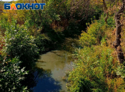 Экологическое бедствие в Луганске: незаконный сброс фекалий почти уничтожил реку Ольховку