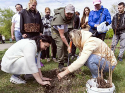 Луганчане высадили 150 деревьев в парке «Дружба» 