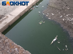 Обстановка на берегах Луганского моря