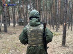 Как ополченцы ЛНР смогут получить выплаты за полученные в бою увечья