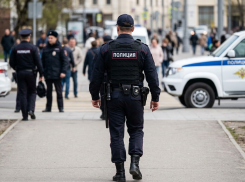 Соседка-вор и рецидивист с сумочкой: кого задержали полицейские ЛНР