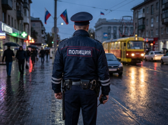 Цена спасения «внучки»: пенсионерки в ЛНР отдали мошенникам 650 тысяч рублей