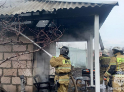 11 пожаров за сутки: ситуация в ЛНР