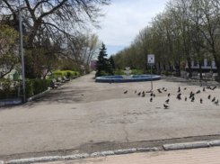 Главный сквер Красного Луча в ЛНР благоустроят по нацпроекту