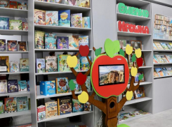 От игр до интерактива: в ЛНР открылась модельная библиотека для детей