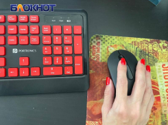 Мошенники атакуют предприятия ЛНР фальшивыми запросами