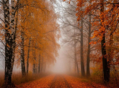 В Луганске потеплеет до +15