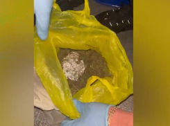 В ЛНР поймали жителя Алчевска, прятавшего в лесу марихуану