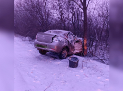 В ЛНР автомобиль вылетел с дороги и врезался в дерево: двое пострадавших в больнице