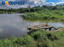 Пасечник: В ЛНР реализуется национальный проект «Экологическое благополучие»