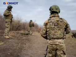 Новости СВО: США и Украина обсудили миротворцев на Донбассе, ВС РФ давят противника на Добропольском выступе и зашли в Красный Лиман