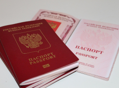 Где в ЛНР можно оформить загранпаспорт: список новых МФЦ