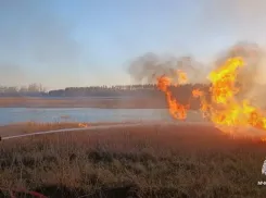 Пожары в ЛНР: как беспечность одного калечит природу для всех