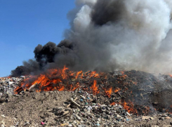 Спасатели и коммунальщики тушат горящий мусорный полигон в ЛНР