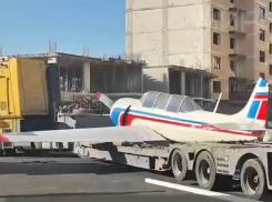 В бывший лётный городок в Луганске прилетел легкокрылый красавец