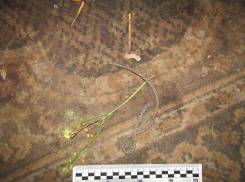 В Антраците ЛНР женщину осудили за убийство 74-летней пенсионерки