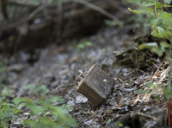 В Луганском природном заповеднике найдены боеприпасы и экстремистская литература