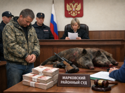 Два кабана ценой в 50 тысяч рублей: в ЛНР осудили охотника-нелегала