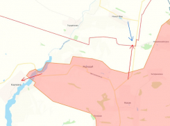 Русские витязи наступают севернее приграничного ЛНР Редкодуба