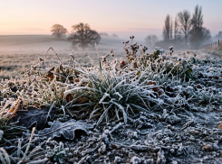 МЧС предупреждает о заморозках до -3 на почве в ЛНР 16 апреля