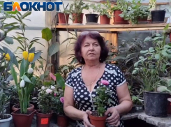 Цветовод из Луганска рассказала, как уберечь цветы, подаренные на 8 Марта