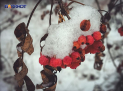 Заморозки на Луганщине достигнут опасных значений