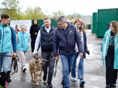 Остановить домашнее насилие, спасти животных, помочь матерям — топ-3 инициативы «Новых людей» для Луганска