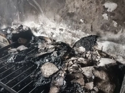 Телефон на зарядке: как одна привычка лишила семью из ЛНР имущества