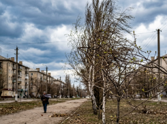 ЛНР 8 апреля до 11 градусов тепла и усиление ветра