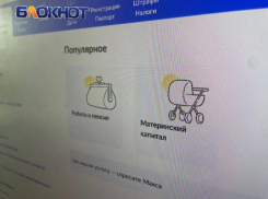 Материнский капитал в ЛНР: можно оплатить учебу сразу нескольких детей