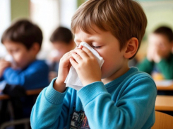 Эпидпорог по ОРВИ превышен в четырех муниципалитетах ЛНР