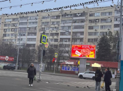 Таинственная гибель голубей в Луганске: что происходит в центре города?