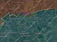 Новости СВО: ставка на поражение России и освобождение Харьковской области