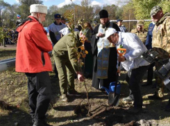 В Луганске заложили Аллею казачьей славы в рамках акции «Сад памяти»