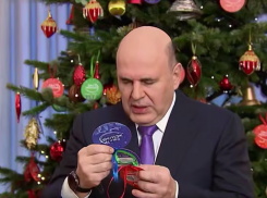 Михаил Мишустин исполнит новогоднюю мечту спортсменки и рукодельницы из ЛНР