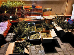 Десятки боеприпасов и 10 кило наркотиков хранил житель ЛНР у себя дома