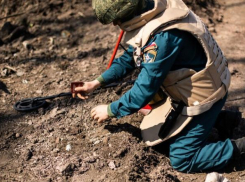 Новый аэропорт Луганска: саперы очищают территорию под строительство