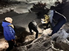 9-летний мальчик, которого убил уроженец Лисичанска ЛНР, рос в неблагополучной семье