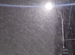 9 февраля ЛНР накроют метель, гололед и шквалистый ветер