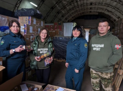 Таможенники передали конфискованные новогодние игрушки детям из ЛНР