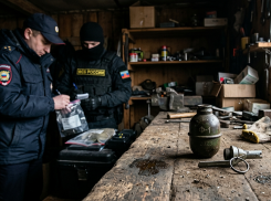 Гранаты в жилом доме: в Краснодонском округе задержан пенсионер